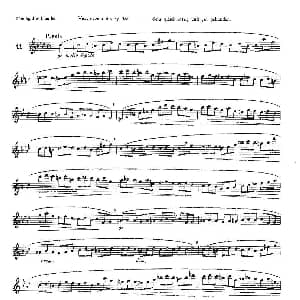 长笛曲谱 | 12首大技巧练习曲之11 Moyse 莫伊斯