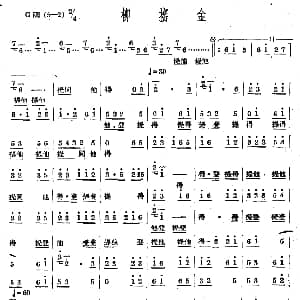 柳摇金 十番音乐