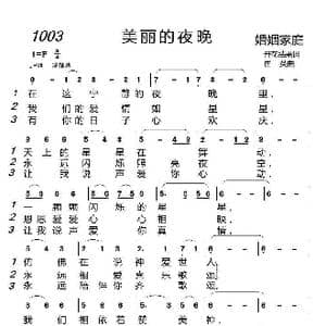 1003 美丽的夜晚_歌曲简谱_词曲:开花结果 崔英
