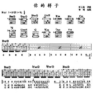 你的样子 吉他谱 罗大佑 罗大佑 罗大佑