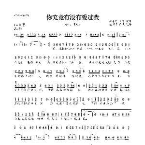 你究竟有没有爱过我_歌曲简谱_词曲:邱永传 秀才 邱永传 秀才