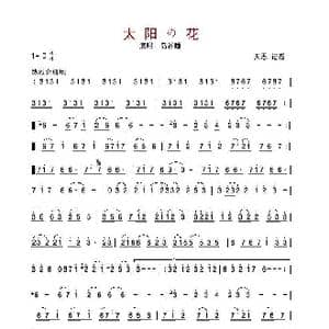 太阳の花_歌谱投稿