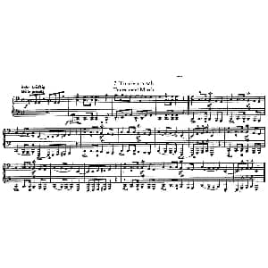 12首为孩子们而作的四手联弹曲 Op.85 钢琴谱 罗伯特 舒曼