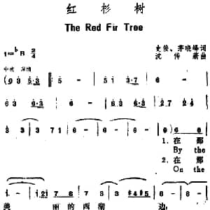 红杉树_美声唱法乐谱_词曲:史俊 茅晓峰 沈传薪