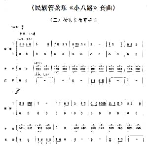 三 杨队长教育虎子 民族管弦乐 小八路 套曲