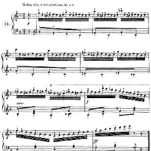 40首车尔尼Op.299钢琴快速练习曲 钢琴谱 车尔尼