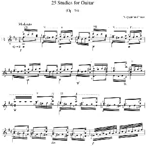 Napoleon Coste 25 Studies,Op.38 吉他谱