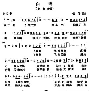 白鸽_通俗唱法乐谱_词曲:伍佰 伍佰
