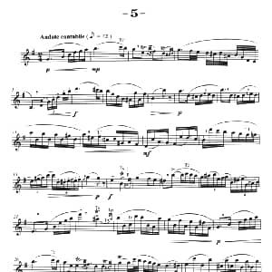 萨克斯谱 | 菲林萨克斯管练习曲 5 弗朗茨 威廉 费林原曲 李志远改编