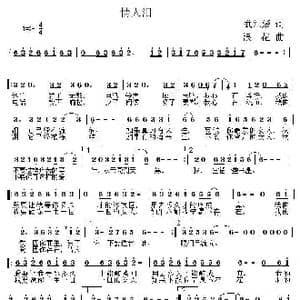 情人泪_歌曲简谱_词曲:武纪媛 浪花