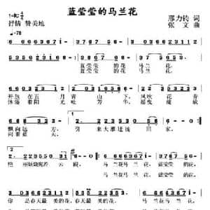 蓝莹莹的马兰花_民歌简谱_词曲:邢力钧 张文