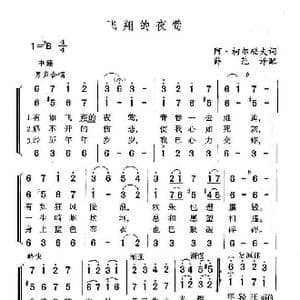 飞翔的夜莺_歌谱投稿