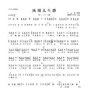 风雨人生路_歌曲简谱_词曲:刘宏杰 刘宏杰