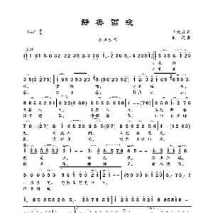 静美雪夜_歌曲简谱_词曲:王建房 歌奴