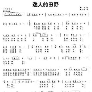 迷人的田野_民歌简谱_词曲:解华 吴小平