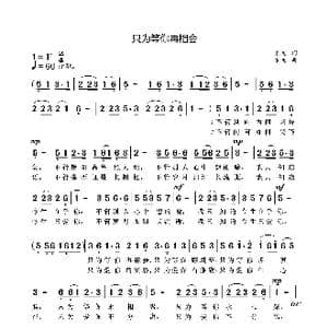 只为等你再相会_歌曲简谱_词曲:袁龙 袁龙