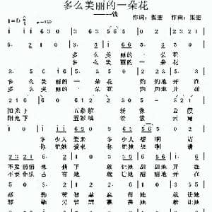 多么美丽的一朵花_歌曲简谱_词曲:张宏 张宏