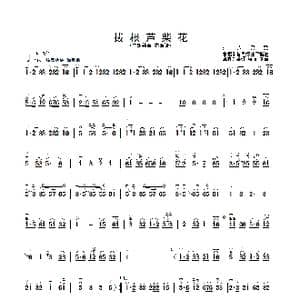 拔根芦柴花_歌曲简谱_词曲: 朱昌耀编曲 章祥兴整理