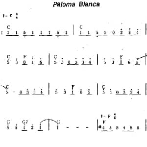 Paloma Blanca 美国 _外国歌谱