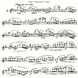 长笛曲谱 | Six Duets, Op.137 之四 二重奏 六首作品 137号 Furstenau 福斯特劳