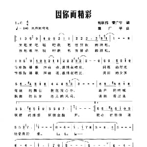 因你而精彩_通俗唱法乐谱_词曲:杨跃伟 雷广宇 雷广宇
