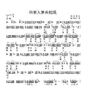 谁来入梦共枕眠_歌曲简谱_词曲:周绿森 高音敏子