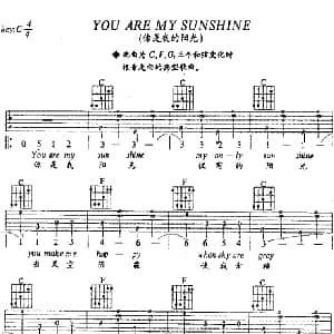 You Are My Sunshine 吉他谱 雷 查尔斯