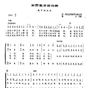 ​100田野里有棵白桦 俄罗斯 _外国歌谱_词曲: 俄罗斯民歌