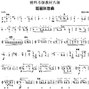 琵琶谱 | 琵琶狂想曲 琵琶考级教材八级 周雪石