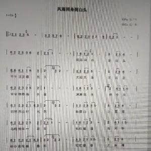 风雨同舟到白头_歌曲简谱_词曲:岳三丰 岳三丰