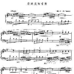 手风琴谱 | 珍珠般的音阶 德 fr 施平德勒