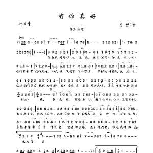 有你真好_歌曲简谱_词曲:前世 前世