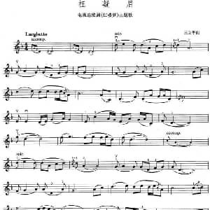 小提琴谱 | 枉凝眉 87版电视剧 红楼梦 主题歌 王立平