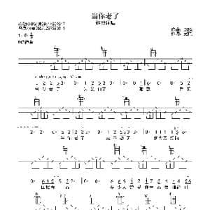 当你老了_歌曲简谱_词曲:赵照 赵照