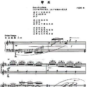 卵石 钢琴谱 王爱群