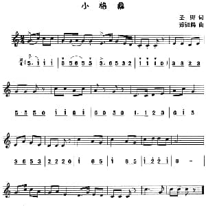 小格桑 八孔竖笛线简谱对照版 圣野 茹银鹤