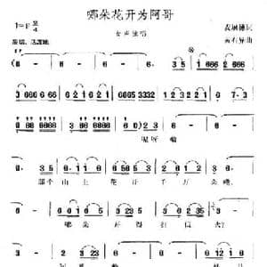 哪朵花开为阿哥_民歌简谱_词曲:麦展穗 黄有异