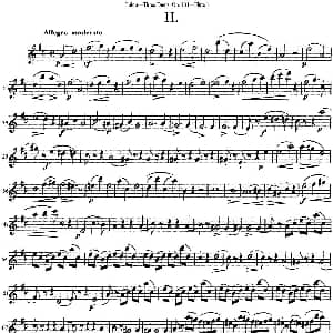 长笛曲谱 | 图露三首长笛简易重奏曲Op.104 Flute 1 NO.2 Tulou 图露