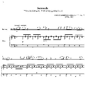 Serenade Andante Cantabile from String Quartet No. 8 巴松 钢琴伴奏 Franz Joseph Haydn