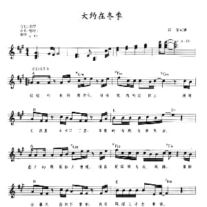 电子琴谱 | 大约在冬季 带歌词 提示版 齐秦 齐秦