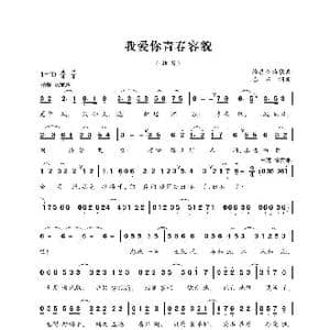 我爱你青春容貌_歌曲简谱_词曲:巴石 巴石