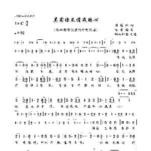 其实你不懂我的心_歌曲简谱_词曲:陈桂珠 童安格