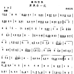 中国民族民间舞曲选 七 藏族舞蹈 囊玛 聚集在一