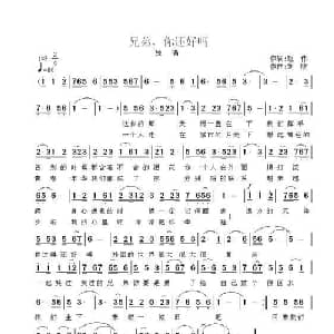 兄弟 你还好吗_通俗唱法乐谱_词曲:赵伟 刘欣