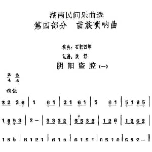 阴阳盗腔 一 湖南民间乐曲选 洪滔记谱