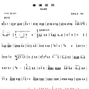 春满田间 高音板胡
