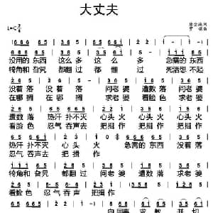 大丈夫_通俗唱法乐谱_词曲:唐金城 贾铭