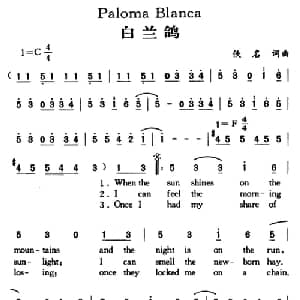 Paloma Blanca_外国歌谱