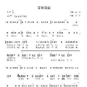 等你回家_歌曲简谱_词曲:袁,烽 向 往
