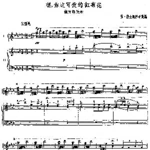 手风琴谱 | 嘿 你这可爱的红梅花